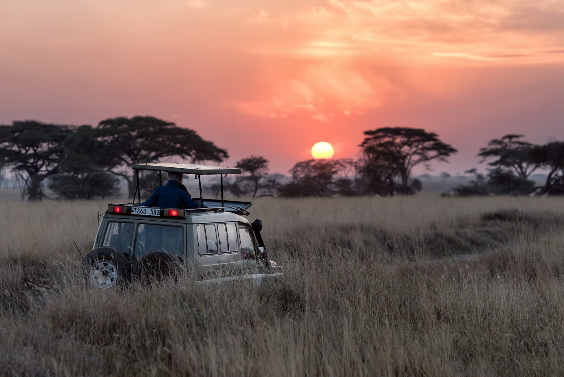 A journey through a wide open landscape